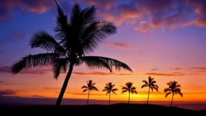 Big Island Hawaii Sunset