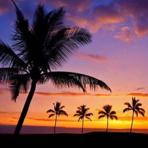 Big Island Hawaii Sunset